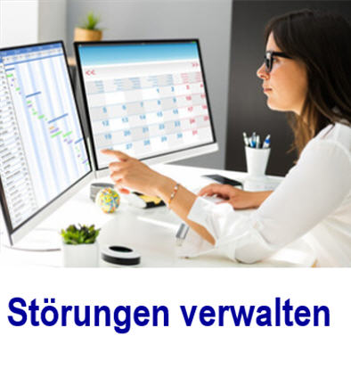St�rungen aller g�ngigen Systeme verwalten.